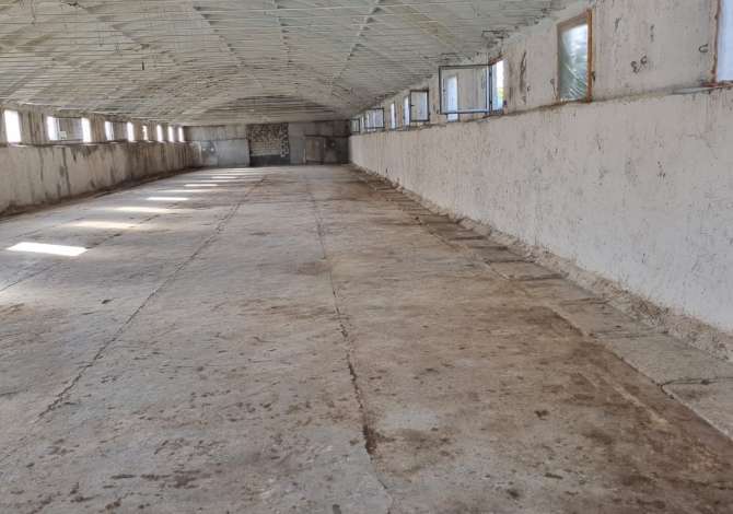 Shitet Truall+Magazine me siperfaqe 720m2 ne Plug, Lushnje.