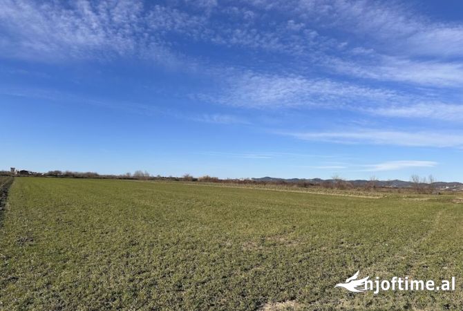 Land for Sale  in Durres - 350,000 Euro