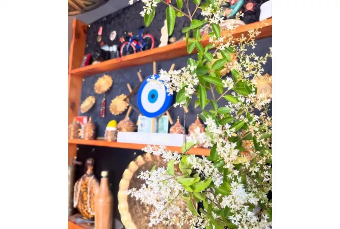 Shesim Biznes Bar-Caffe & Snack – Ish Fusha e Aviacionit, Tirane!