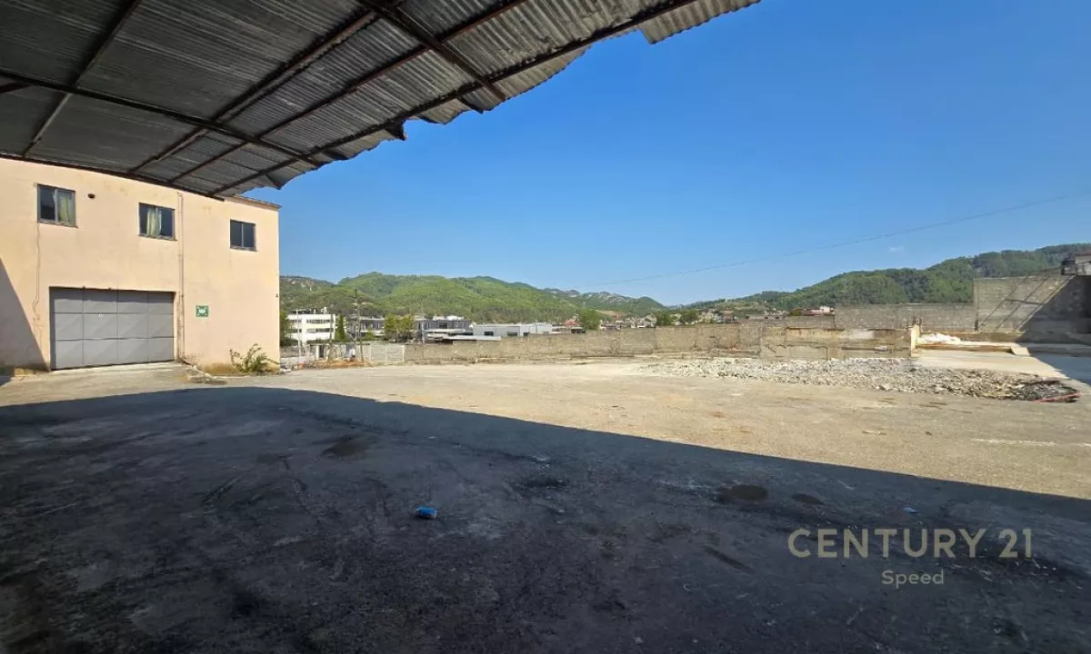 Foto 5
