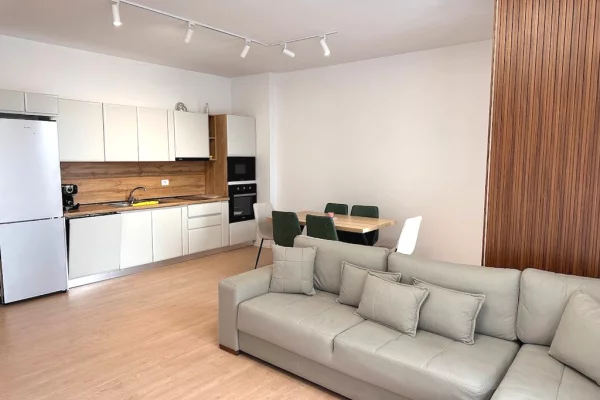 House for Rent 2+1 in Tirana - 750 Euro