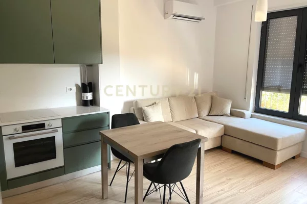 Shtepi me qera 1+1 ne Tirane - 60,000 Leke