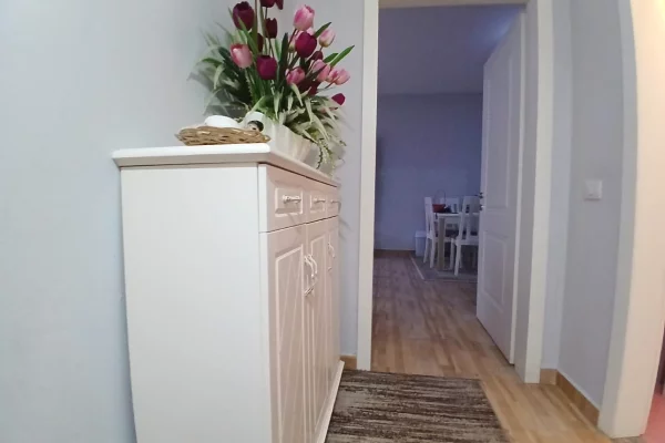 Apartment for rent in Tirana 2+1, Furnished