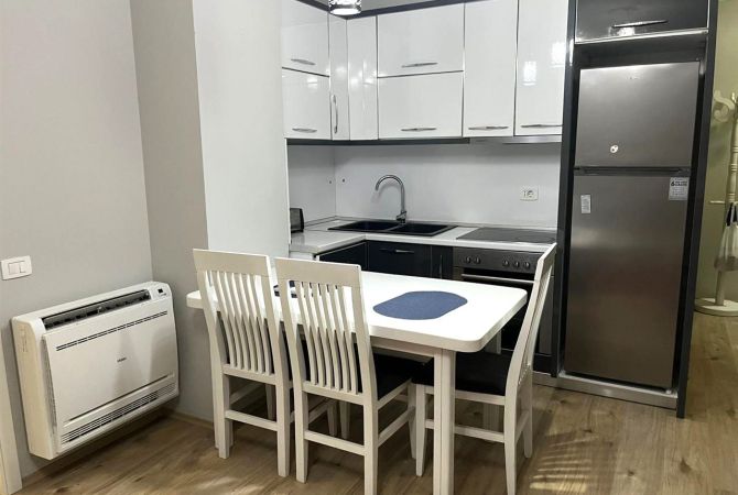 Shtepi me qera 1+1 ne Tirane - 50,000 Leke