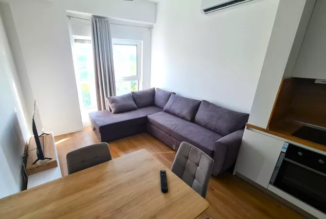Shtepi me qera 1+1 ne Tirane - 40,000 Leke