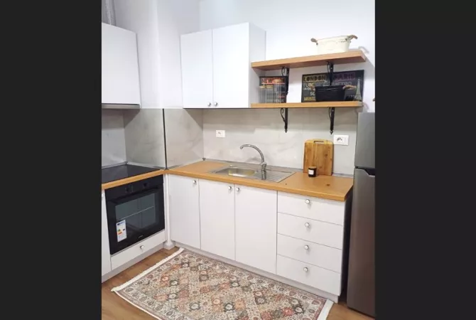 House for Rent 1+1 in Tirana - 40,000 Leke