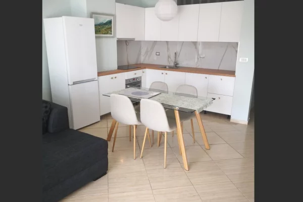 Shtepi me qera 1+1 ne Tirane - 55,000 Leke