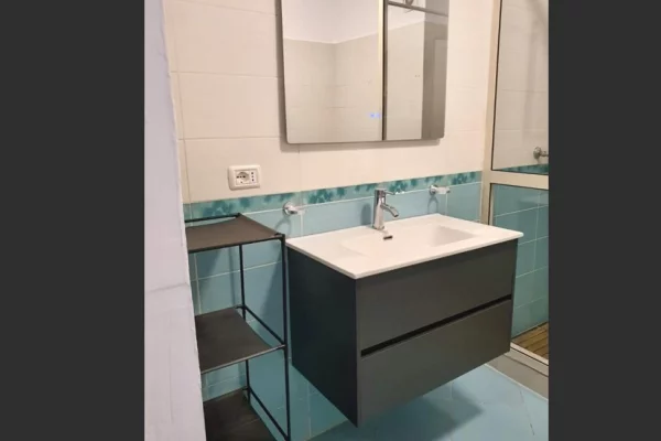 Shtepi me qera Apartament ne Tirane, 1+1, Mobilimi E mobiluar, Pagesa 55,000  Leke.