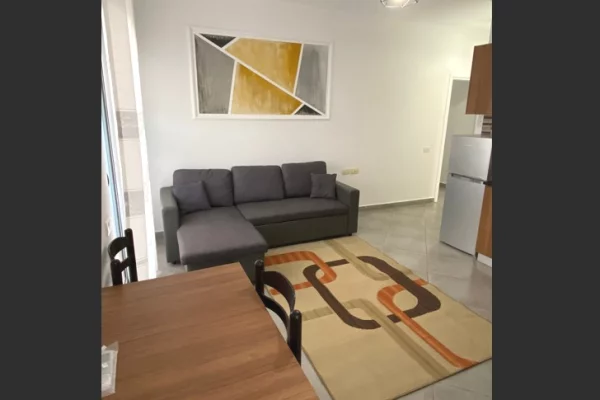 Shtepi me qera 1+1 ne Tirane - 40,000 Leke