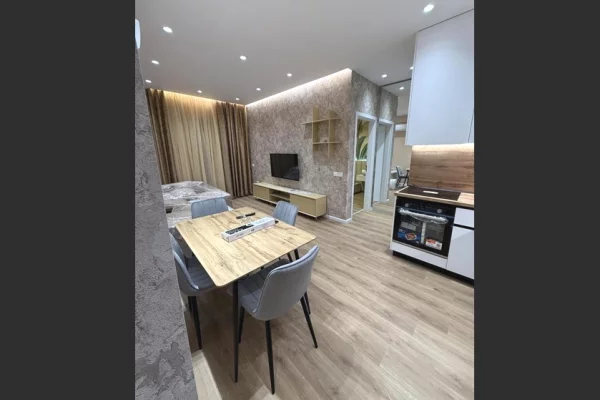 Shtepi me qera 1+1 ne Tirane - 45,000 Leke