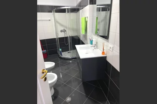 Shtepi me qera Apartament ne Tirane, 1+1, Mobilimi E mobiluar, Pagesa 450  Euro.