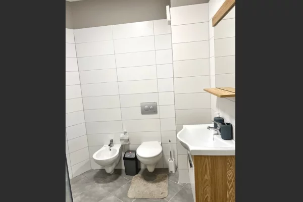 Shtepi me qera Apartament ne Tirane, 2+1, Mobilimi E mobiluar, Pagesa 500  Euro.