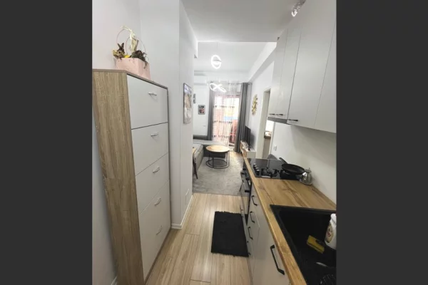 Shtepi me qera Apartament ne Tirane, 1+1, Mobilimi E mobiluar, Pagesa 400  Euro.