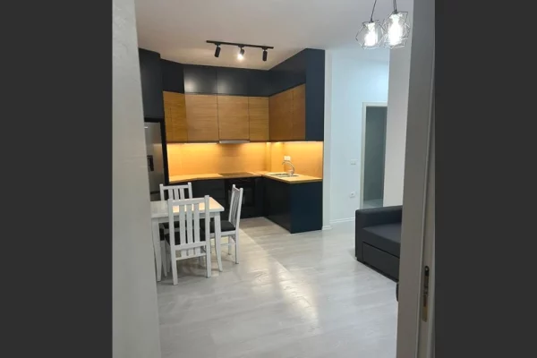 Shtepi me qera Apartament ne Tirane, 1+1, Mobilimi E mobiluar, Pagesa 600  Euro.