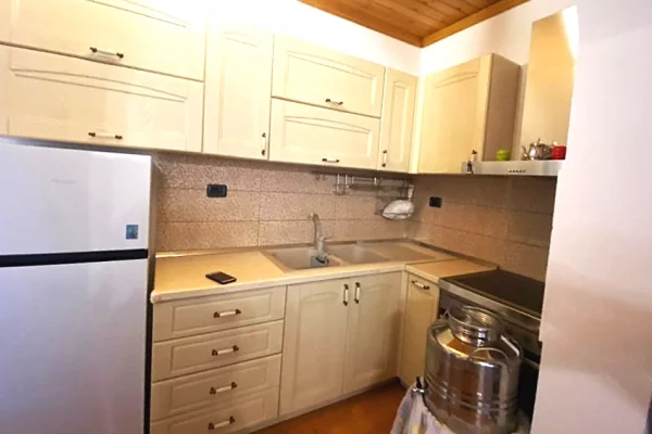 Apartment for rent in Tirana 1+1, Furnished