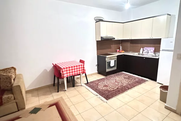 Shtepi ne shitje 1+1 ne Tirane - 98,000 Euro