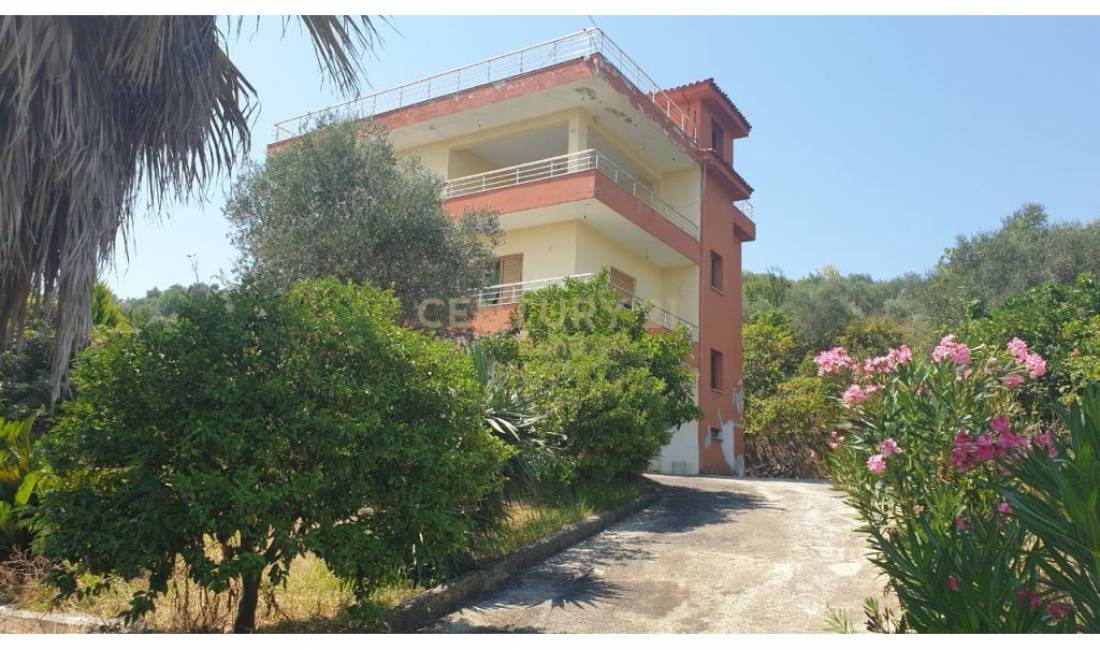 Foto 6