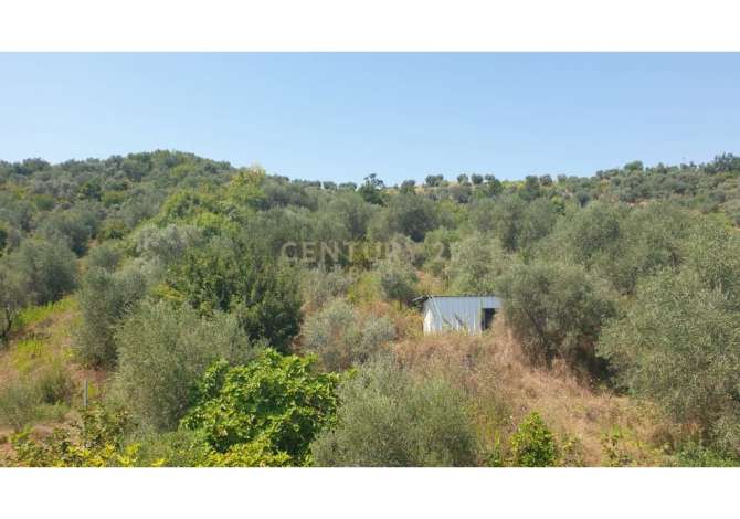 Shtepi ne shitje Shtepi Private ne Tirane, 6+1, Mobilimi Bosh, pa mobiluar, Pagesa 380,000  Euro.