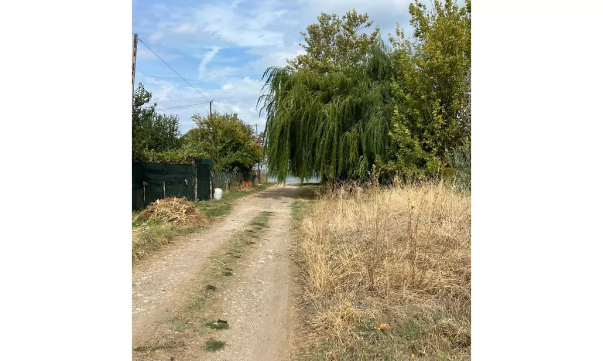 Foto 1