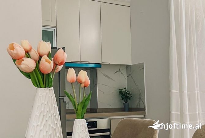 Shtepi me qera 1+1 ne Tirane - 600 Euro