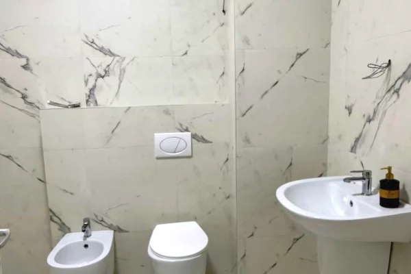 Shtepi me qera Apartament ne Tirane, 2+1, Mobilimi E mobiluar, Pagesa 650  Euro.