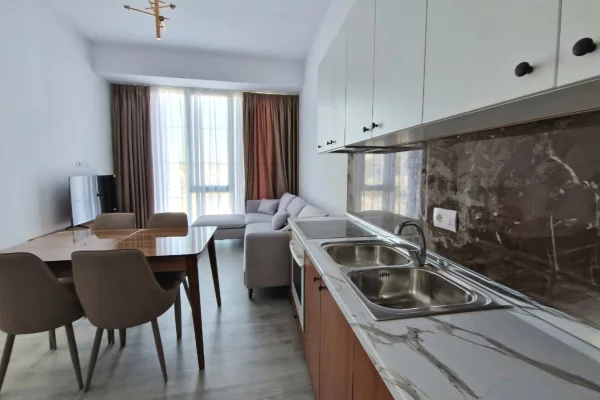 Shtepi me qera 1+1 ne Tirane - 46,000 Leke