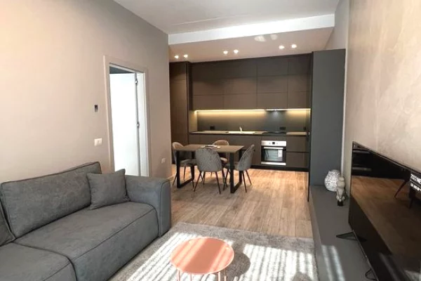 House for Rent 1+1 in Tirana - 850 Euro