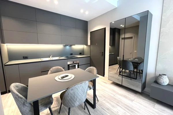 House for Rent 1+1 in Tirana - 850 Euro