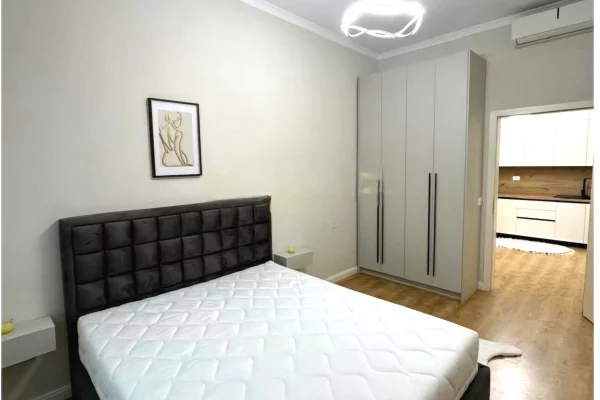 Shtepi ne shitje Apartament ne Tirane, 1+1, Mobilimi E mobiluar, Pagesa 130,000  Euro.
