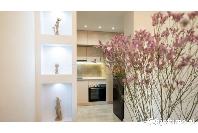 Shtepi me qera Apartament ne Tirane, 1+1, Mobilimi E mobiluar, Pagesa 1,250  Euro.