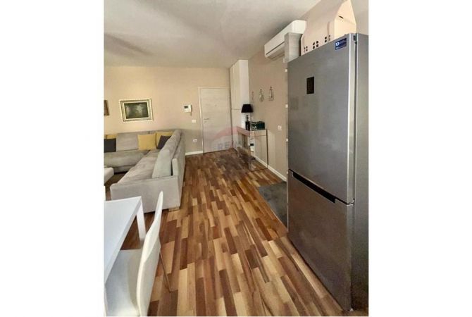 Shtepi me qera Apartament ne Tirane, 1+1, Mobilimi E mobiluar, Pagesa 730  Euro.