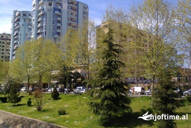 Ambient biznesi me qera 1+1 ne Tirane - 1,000 Euro