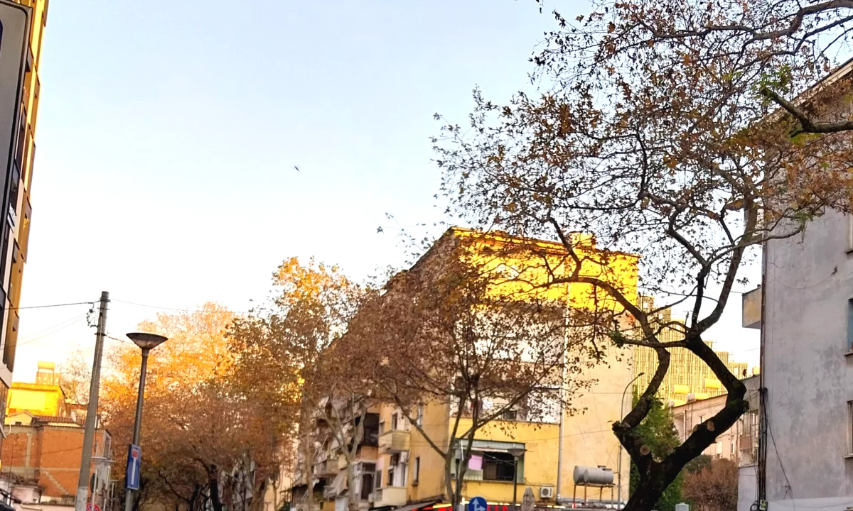 Shtepi me qera Apartament ne Tirane, 1+1, Mobilimi E mobiluar, Pagesa 50,000  Leke.