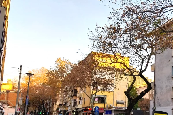 Shtepi me qera 1+1 ne Tirane - 50,000 Leke