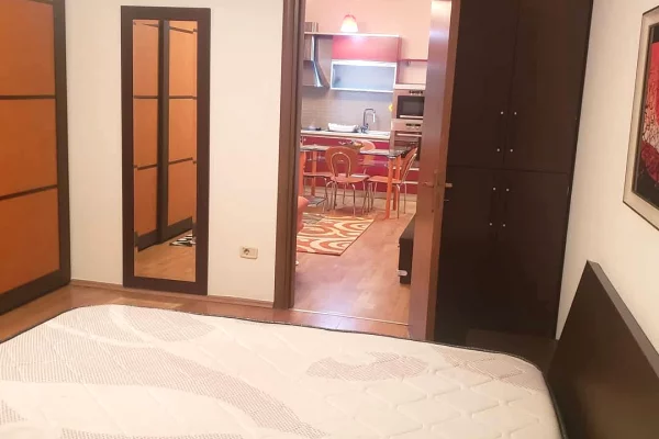 Shtepi me qera Apartament ne Tirane, 1+1, Mobilimi E mobiluar, Pagesa 550  Euro.