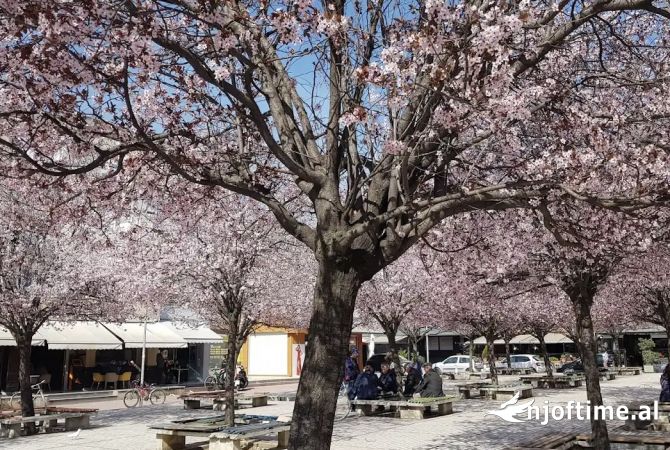 Shtepi ne shitje 3+1 ne Tirane - 135,000 Euro