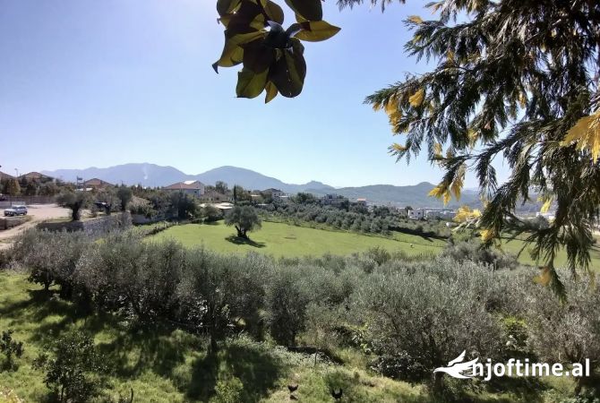 Truall ose Toke  ne Tirane - 168,000 Euro