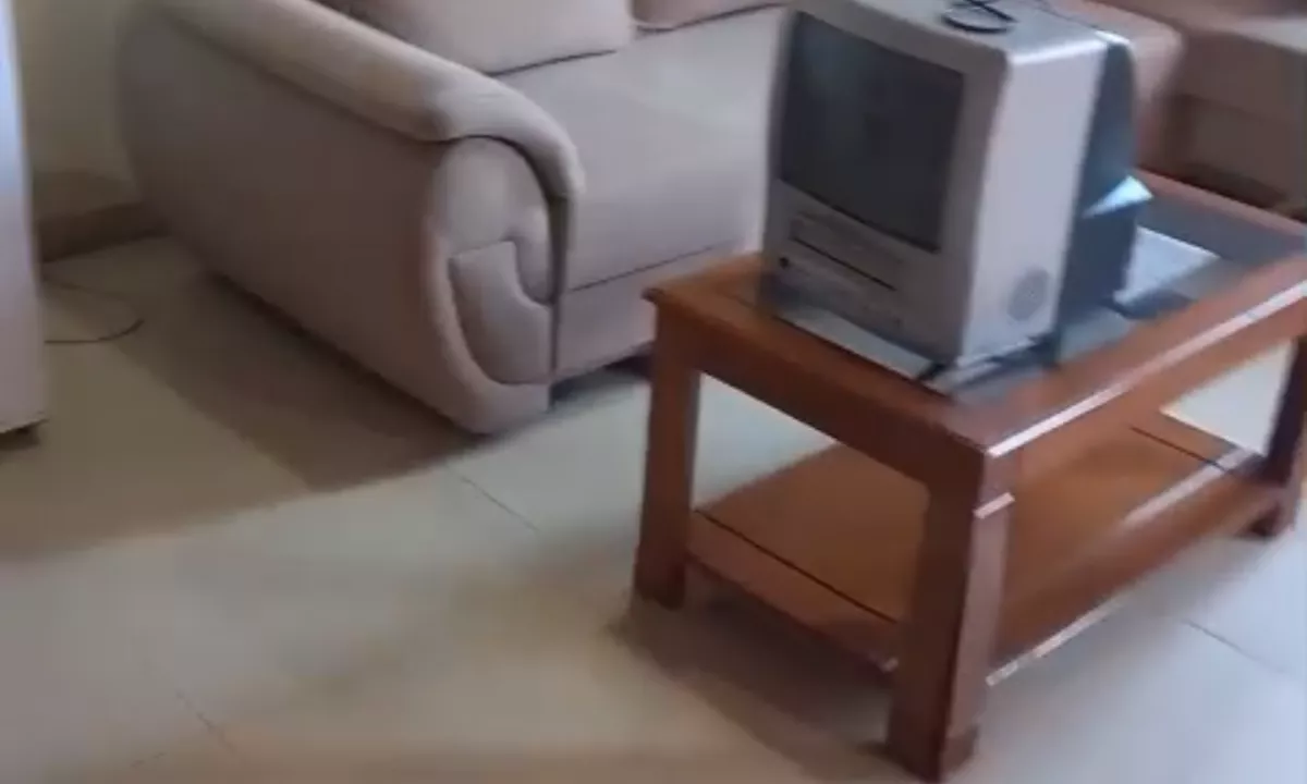 Foto 1