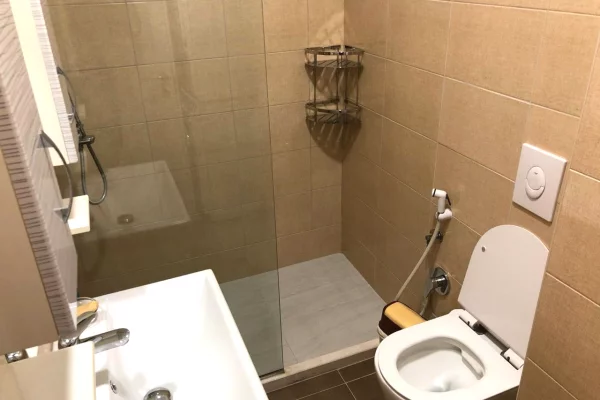 Shtepi me qera Apartament ne Tirane, 1+1, Mobilimi E mobiluar, Pagesa 56,000  Leke.