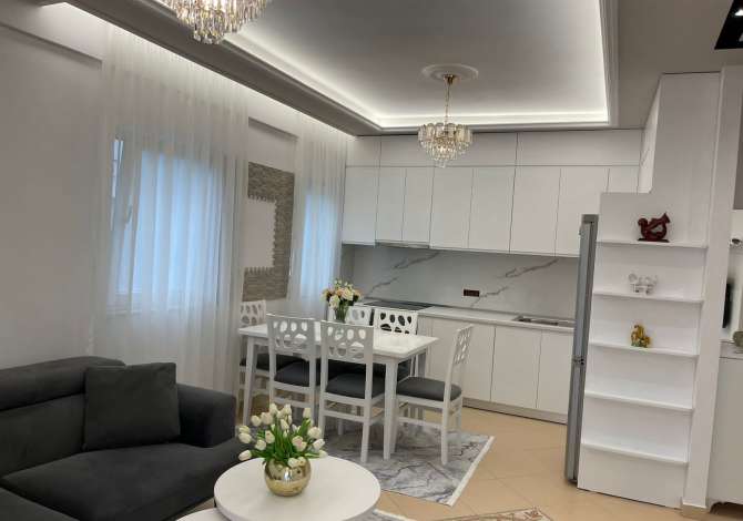 Shtepi me qera Apartament ne Tirane, 1+1, Mobilimi E mobiluar, Pagesa 500  Euro.