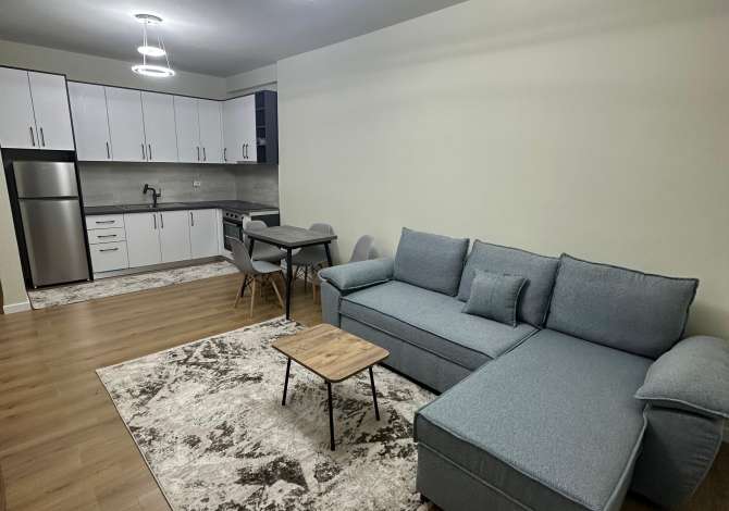 Shtepi me qera 1+1 ne Tirane - 450 Euro