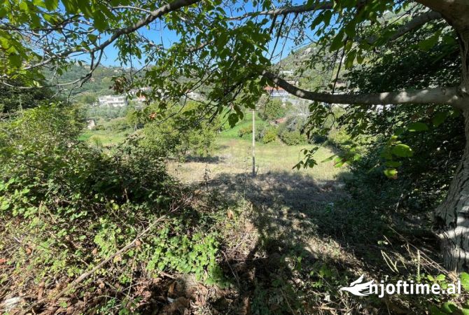 Truall ose Toke  ne Tirane - 115,000 Euro