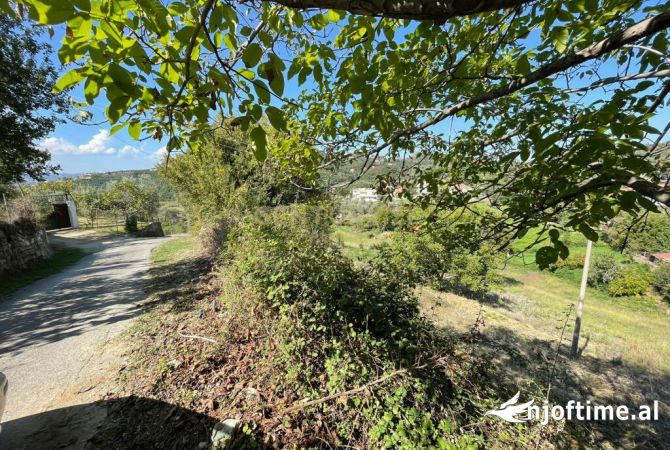Truall ose Toke  ne Tirane - 115,000 Euro