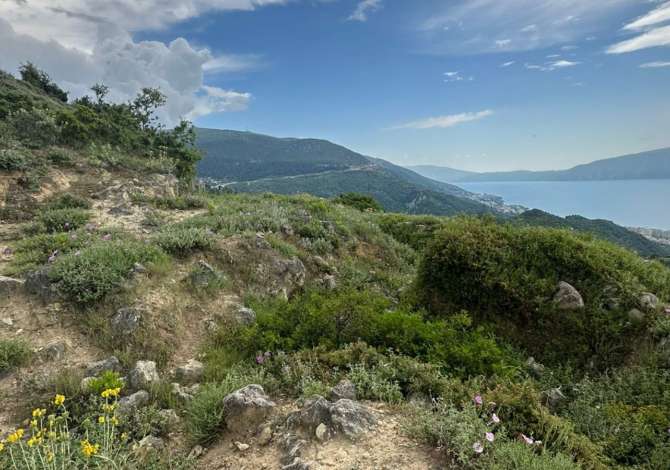 Terreno in vendita  a Valona - 29,200 Euro