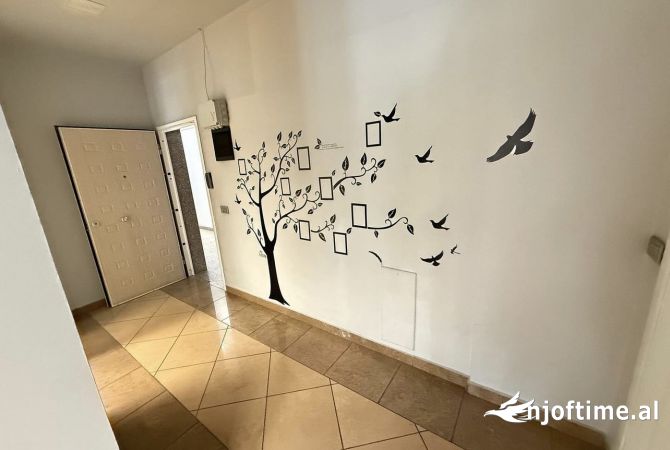 📣 QERA Ambient Zyre 📍 Prane RTSH-se ✨ 