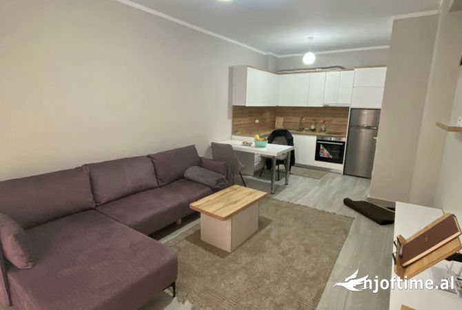 Shtepi me qera 1+1 ne Tirane - 450 Euro