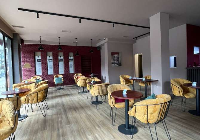 Ambient biznesi me qera 2+1 ne Tirane - 1,700 Euro