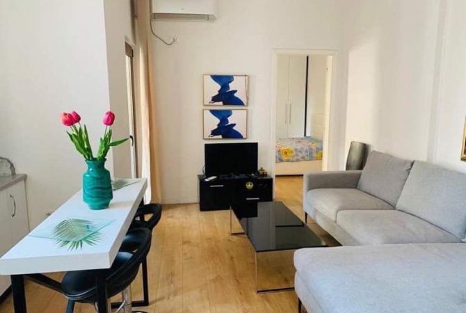 Shtepi me qera 1+1 ne Tirane - 600 Euro