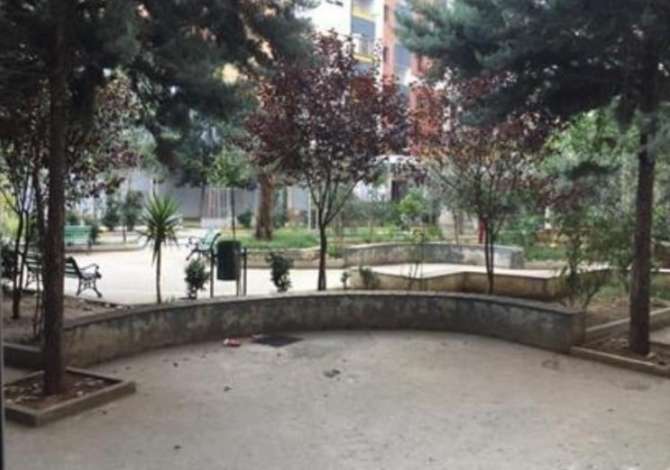 Ambient biznesi me qera 1+1 ne Tirane - 30,000 Leke