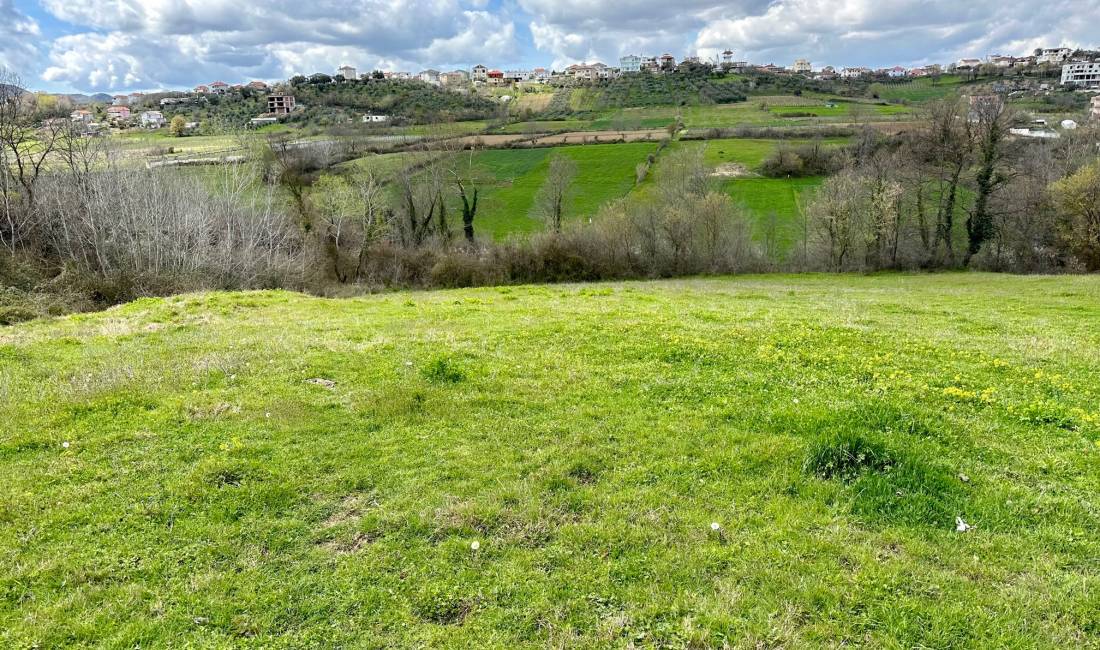 Shitet Toke ne Lunder